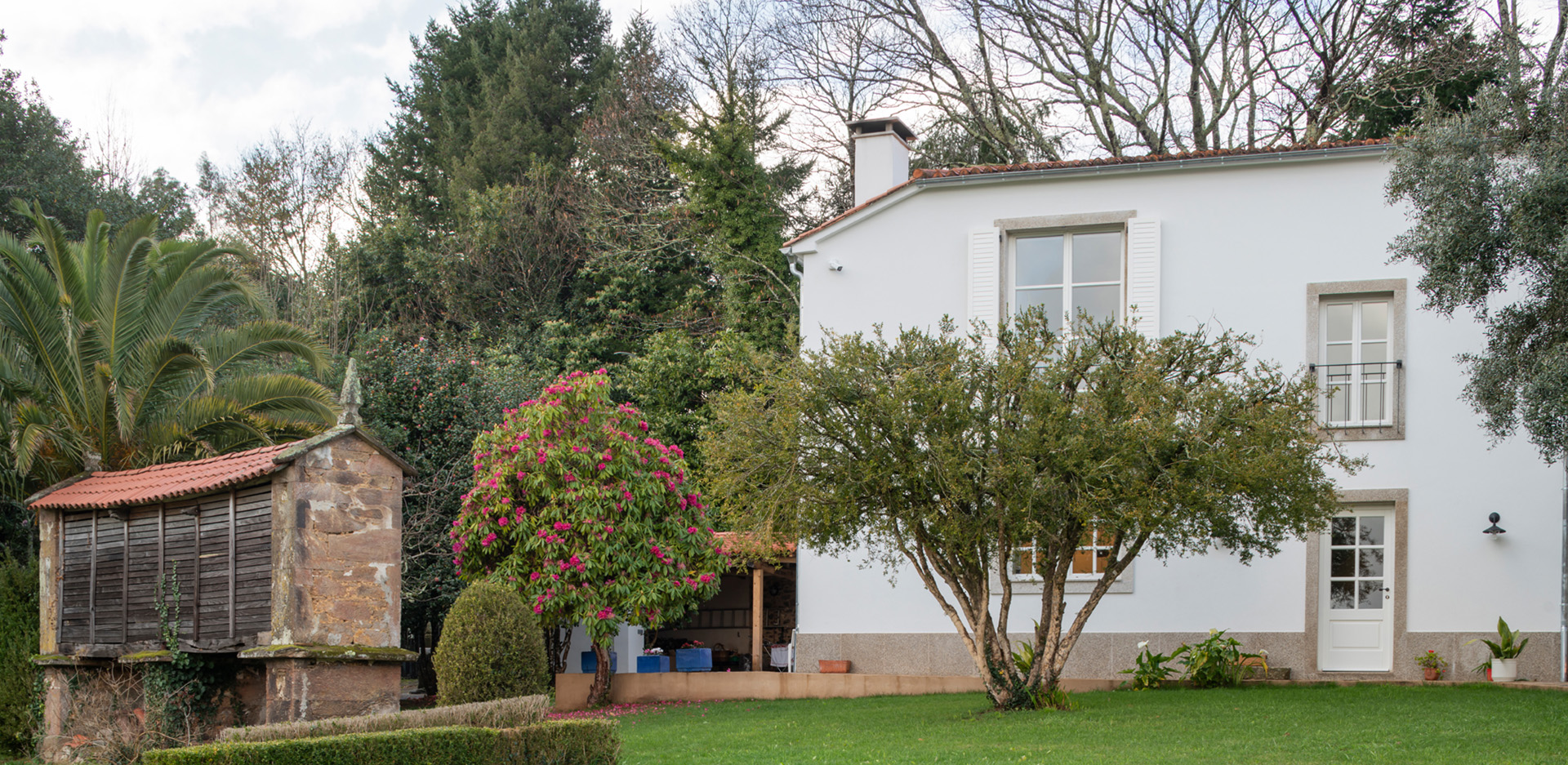 Fachada exterior de una casa blanca de dos plantas con jardín, horreo de piedra, camelias rosadas y árboles.