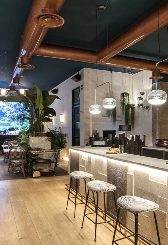 Zona de bar en restaurante con iluminación colgante y vegetación interior.