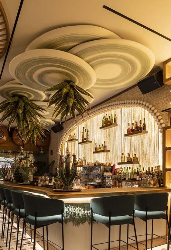 Bar contemporáneo con barra de madera iluminada y estantes con botellas.